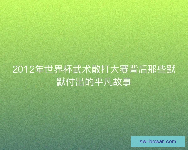 2012年世界杯武术散打大赛背后那些默默付出的平凡故事